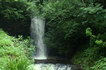 Glencar Waterfall A3 Print